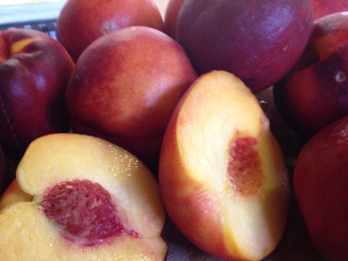 Bee’s Knees® – Rich Lady Peaches